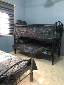 Walaa Chalet tesisinde bir ranza yatağı veya ranza yatakları