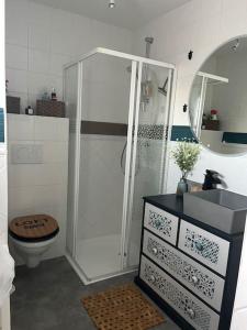 a bathroom with a shower and a toilet and a sink at Appartement mezzanine spacieux in Jaunay-Marigny