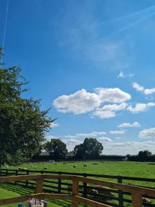 a field with cows in a field with a wooden fence at Tree House in Thirsk