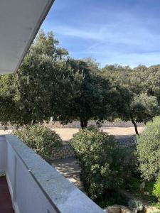 vista su un giardino con alberi e cespugli di B&B Anica Kampor a Kampor