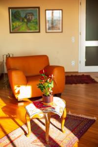 維也納的住宿－Herrlicher Ausblick über Wien，客厅配有沙发和植物桌子