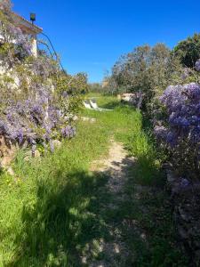 Φωτογραφία από το άλμπουμ του Stanza privata con giardino σε La Maddalena +23 φωτογραφίες