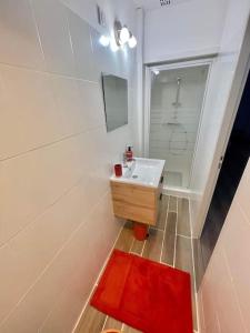 a bathroom with a white sink and a red rug at * Maison chez J&J - Cité médiévale * in Carcassonne