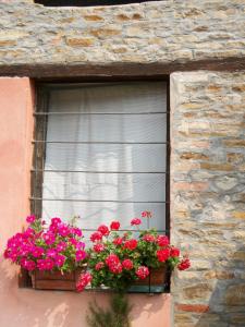 Fotografie z fotogalerie ubytování Agriturismo Cà Trinche v destinaci Camo