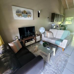 a living room with a couch and a flat screen tv at Silver View Apartments in Saint Georgeʼs