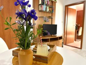 TV a/nebo společenská místnost v ubytování Apartment Dino