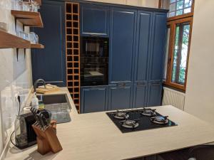a kitchen with blue cabinets and a stove top oven at Ultra-central apartment in the Loffler Palace in Timişoara