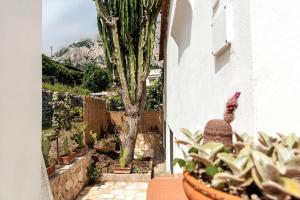 Foto dalla galleria di Casa La Scaletta, Capri a Capri