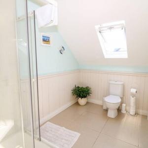 a bathroom with a shower and a toilet and a window at Shannonvale Cottage in Nenagh