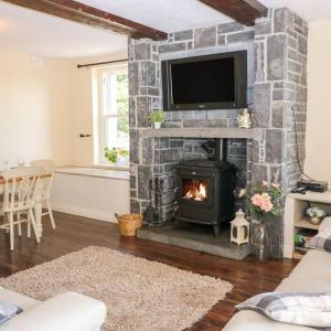 a living room with a fireplace with a tv on top at Shannonvale Cottage in Nenagh +34 photos