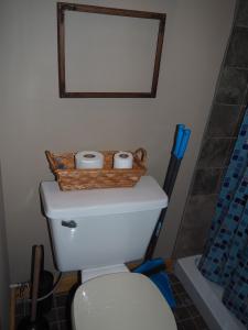 een badkamer met een toilet en een mand erop bij New! Village Of Hope - All 6 Cabins in Ava