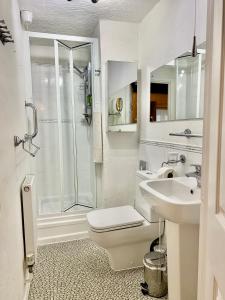 a bathroom with a shower and a toilet and a sink at The Cottage Bed & Breakfast in Polperro