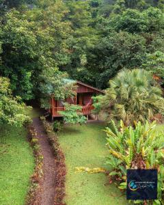 a house in the middle of a forest at Cataratas Bijagua Lodge, incluye tour autoguiado Bijagua Waterfalls Hike in Bijagua