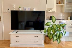Kuchyňa alebo kuchynka v ubytovaní Apartment Nera Zadar