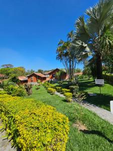 a garden with yellow flowers and palm trees at Pousada Vale das Flores in Penedo