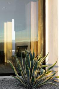 Imagen de la galería de SkyDweller - Joshua Tree Modern, en Joshua Tree