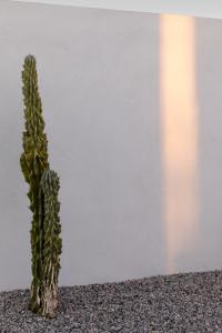 Imagen de la galería de SkyDweller - Joshua Tree Modern, en Joshua Tree
