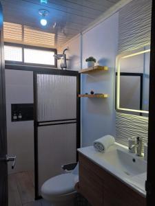 a bathroom with a toilet and a sink and a mirror at Ledy's Inn in Turrialba