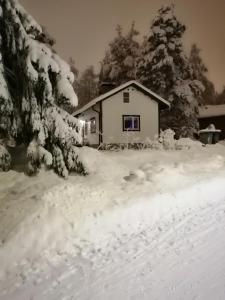 Guesthouse Rakka om vinteren