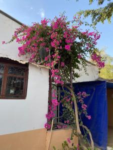 Galeriebild der Unterkunft la Case Africaine in Saly Portudal