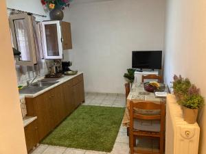 une cuisine avec un évier et une table avec un tapis vert dans l'établissement Διαμέρισμα στην Κέρκυρα, à Kanálion
