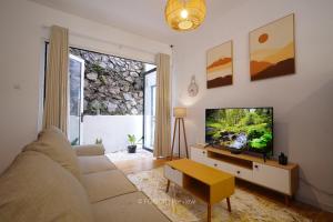 萬隆的住宿－RUMAH BIRU，带沙发和平面电视的客厅