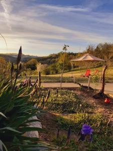 a garden with purple flowers and a gazebo at Sunny Side Fruska Gora- apartman A in Velika Remeta