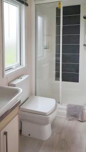 ein Bad mit einem WC, einem Waschbecken und einer Dusche in der Unterkunft Hot Tub Lodge in the Cotswolds - Pet Friendly in South Cerney