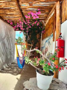 a porch with a hammock and flowers in a room at HOTEL LAS COLORADAS in Yuluc