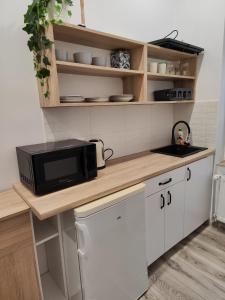 a kitchen with a counter with a microwave on it at Little room 7 - pokój z prywatną łazienką i aneksem in Szczecin