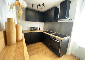 a small kitchen with black cabinets and a sink at Charmant appartement rénové au cœur de Concarneau in Concarneau