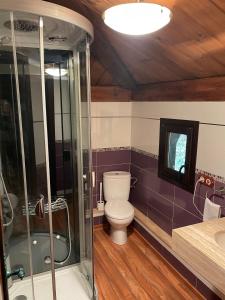 uma casa de banho com um WC e um chuveiro em Casa rural en Redes para 4 em Ríoseco