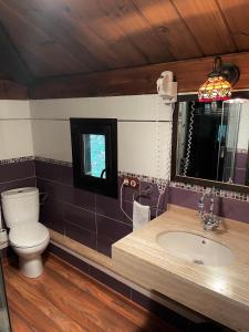 a bathroom with a toilet and a sink and a mirror at Casa rural en Redes para 4 in Ríoseco +20 photos