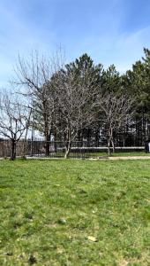 un prato verde con alberi e una recinzione di CHALET VERDE a Kirazlı