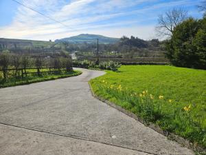 an empty road with a field of grass and flowers at Sheemore View in Kilclare