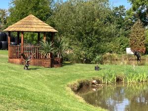um gazebo com um gazebo e um lago em Owls Retreat, Meadowview House em Stoke-on-Trent