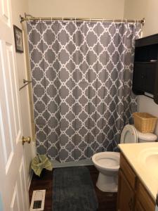 a bathroom with a shower curtain and a toilet at Entire townhome available near nice park library and shopping in Winston-Salem +7 photos