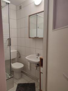 pokoje do wynajecia في غيجيتسكو: حمام مع مرحاض ومغسلة ومرآة