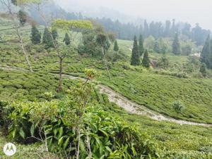 Příroda nedaleko ubytování v soukromí