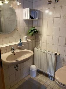 La salle de bains est pourvue d'un lavabo, de toilettes et d'un miroir. dans l'établissement Ferienwohnung Bergleuchten, à Obermaiselstein