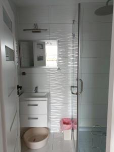 La salle de bains est pourvue d'une douche, de toilettes et d'un lavabo. dans l'établissement Dom Marek, à Wisełka