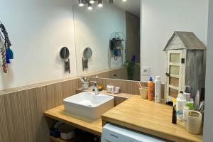 a bathroom with a sink and a mirror at Lovely spacious cocoon in Montpellier in Montpellier