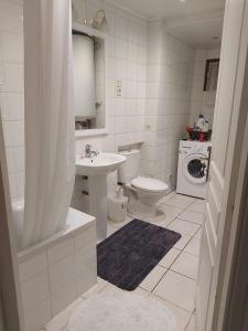 ブール・サン・モーリスにあるVeroniques Apartmentのバスルーム(洗面台、トイレ、洗濯機付)
