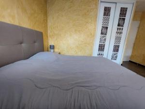 een slaapkamer met een groot bed voor een deur bij Résidence Saint Christophe - 2 Pièces pour 3 Personnes 524 in Aix-les-Bains
