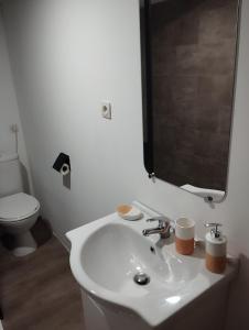 ein Badezimmer mit einem Waschbecken, einem WC und einem Spiegel in der Unterkunft Appartement Cosy avec extérieur in Saint-Privat-des-Vieux
