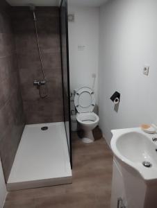 ein Bad mit einer Dusche, einem WC und einem Waschbecken in der Unterkunft Appartement Cosy avec extérieur in Saint-Privat-des-Vieux
