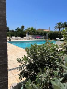 a swimming pool with chairs and trees at Villa Zagara in Marsala