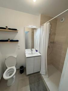La salle de bains est pourvue de toilettes, d'un lavabo et d'une douche. dans l'établissement Appartement cosy à Bron, à Bron