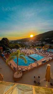 una gran piscina con una palmera en un complejo en Hotel Zanon en Águas de Lindóia