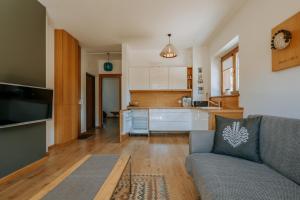 Køkken eller tekøkken på Lipki Park Zakopane